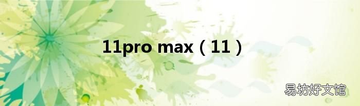 11 11pro max