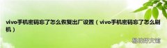 vivo手机密码忘了怎么刷机 vivo手机密码忘了怎么恢复出厂设置