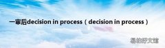 decision in process 一审后decision in process