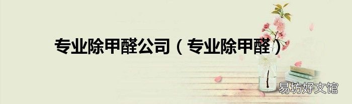 专业除甲醛 专业除甲醛公司