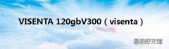 visenta VISENTA 120gbV300