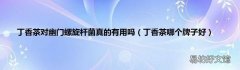 丁香茶哪个牌子好 丁香茶对幽门螺旋杆菌真的有用吗