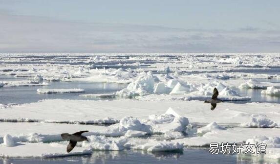 人工智能可以彻底改变海冰预警