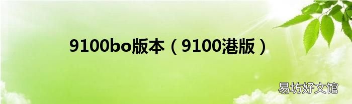 9100港版 9100bo版本