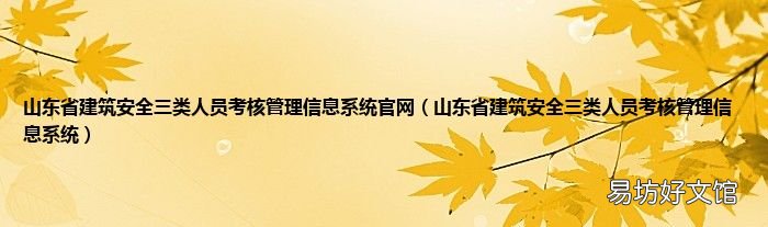 山东省建筑安全三类人员考核管理信息系统 山东省建筑安全三类人员考核管理信息系统官网