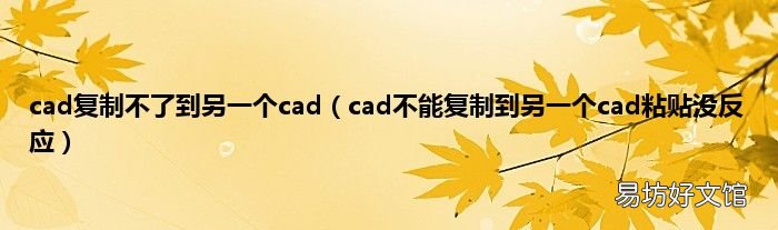 cad不能复制到另一个cad粘贴没反应 cad复制不了到另一个cad