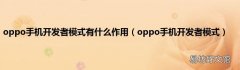 oppo手机开发者模式 oppo手机开发者模式有什么作用