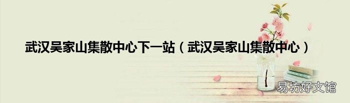 武汉吴家山集散中心 武汉吴家山集散中心下一站