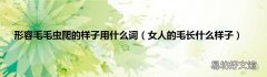 女人的毛长什么样子 形容毛毛虫爬的样子用什么词