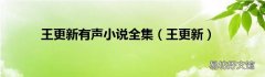 王更新 王更新有声小说全集