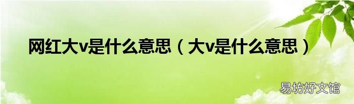 大v是什么意思 网红大v是什么意思