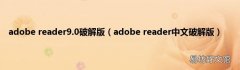 adobe reader中文破解版 adobe reader9.0破解版