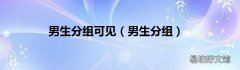 男生分组 男生分组可见