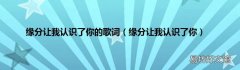 缘分让我认识了你 缘分让我认识了你的歌词