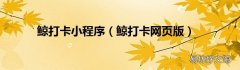 鲸打卡网页版 鲸打卡小程序