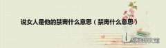禁脔什么意思 说女人是他的禁脔什么意思