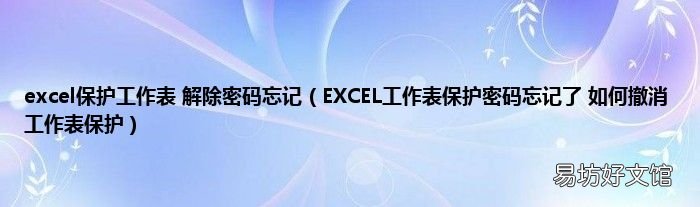 EXCEL工作表保护密码忘记了 如何撤消工作表保护 excel保护工作表 解除密码忘记