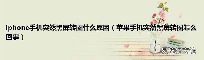 苹果手机突然黑屏转圈怎么回事 iphone手机突然黑屏转圈什么原因