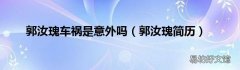 郭汝瑰简历 郭汝瑰车祸是意外吗