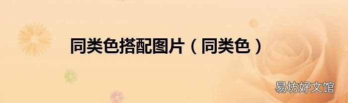 同类色 同类色搭配图片
