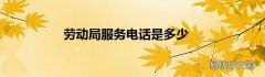 劳动局服务电话是多少