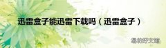 迅雷盒子 迅雷盒子能迅雷下载吗