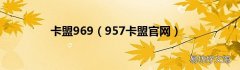 957卡盟官网 卡盟969
