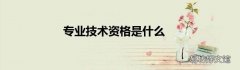 专业技术资格是什么