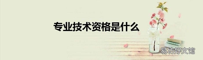 专业技术资格是什么
