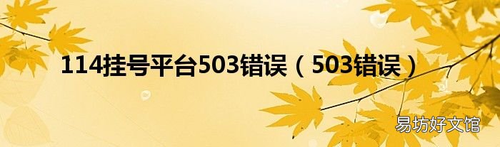 503错误 114挂号平台503错误