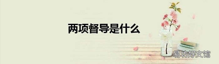 两项督导是什么
