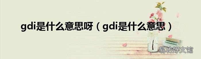 gdi是什么意思 gdi是什么意思呀