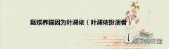 叶澜依扮演者 甄嬛养猫因为叶澜依