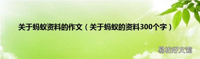关于蚂蚁的资料300个字 关于蚂蚁资料的作文