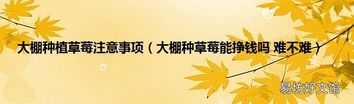 大棚种草莓能挣钱吗 难不难 大棚种植草莓注意事项