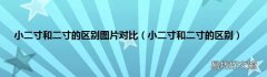 小二寸和二寸的区别 小二寸和二寸的区别图片对比