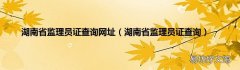 湖南省监理员证查询 湖南省监理员证查询网址