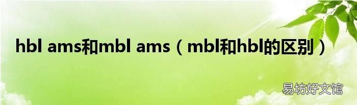 mbl和hbl的区别 hbl ams和mbl ams