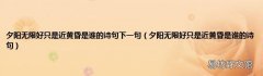 夕阳无限好只是近黄昏是谁的诗句 夕阳无限好只是近黄昏是谁的诗句下一句