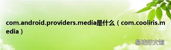 com.cooliris.media com.android.providers.media是什么