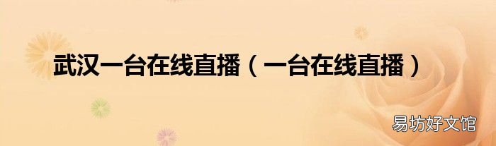 一台在线直播 武汉一台在线直播