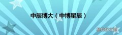 中博星辰 中辰博大