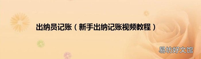 新手出纳记账视频教程 出纳员记账