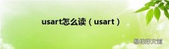 usart usart怎么读