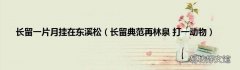 长留典范再林泉 打一动物 长留一片月挂在东溪松