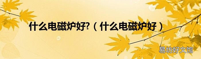 什么电磁炉好 什么电磁炉好?
