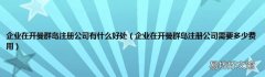 企业在开曼群岛注册公司需要多少费用 企业在开曼群岛注册公司有什么好处