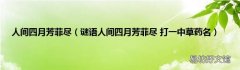 谜语人间四月芳菲尽 打一中草药名 人间四月芳菲尽