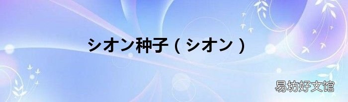 シオン シオン种子