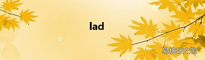 lad